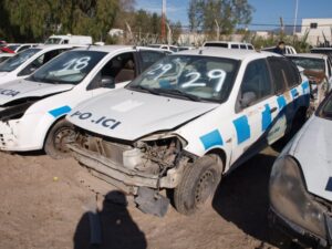 LOTE N° 29