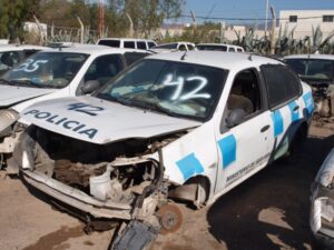 LOTE N° 42