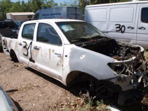 LOTE N° 31