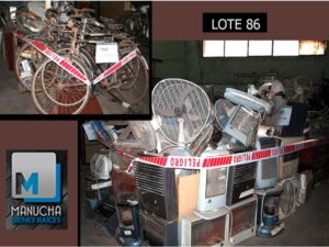 LOTE N° 86