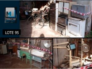 LOTE N° 95