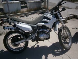 LOTE N° 06