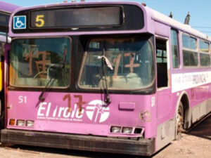 LOTE N° 17