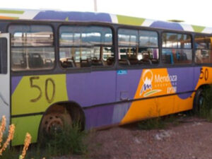 LOTE N° 50