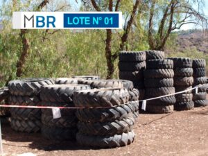 LOTE N° 01