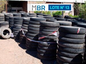 LOTE N° 13