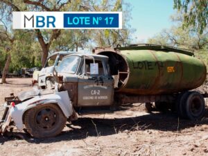 LOTE N° 17