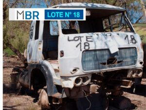 LOTE N° 18