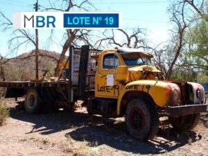 LOTE N° 19