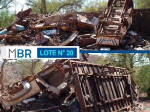 LOTE N° 20