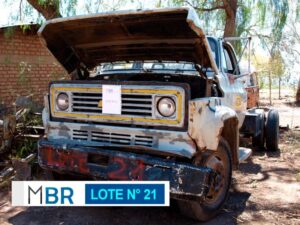 LOTE N° 21