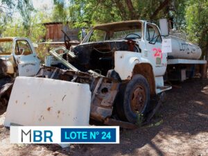 LOTE N° 24