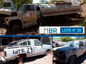 LOTE N° 29