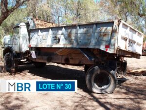 LOTE N° 30