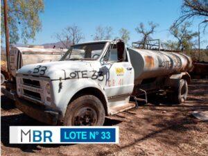 LOTE N° 33