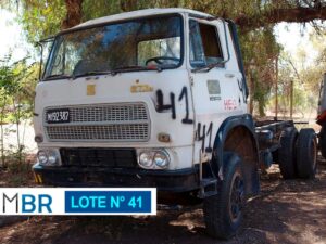 LOTE N° 41