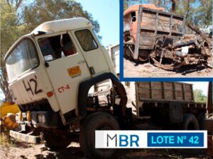 LOTE N° 42