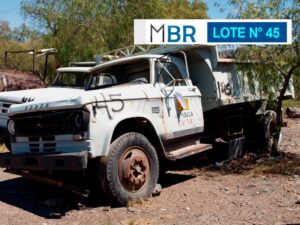 LOTE N° 45