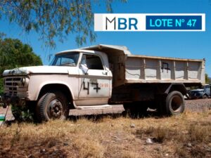 LOTE N° 47