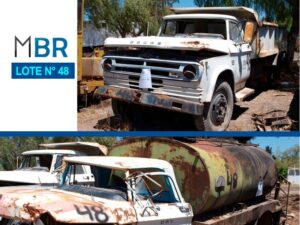 LOTE N° 48