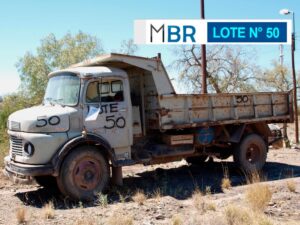LOTE N° 50