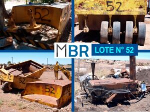 LOTE N° 52