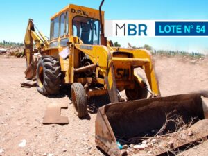 LOTE N° 54