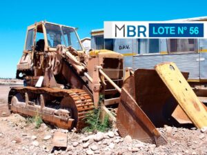 LOTE N° 56