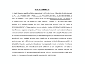 LOTE N° 03